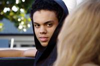 Кадр Ночные сады