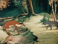 Кадр Олень и волк