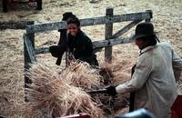 Кадр Дни жатвы