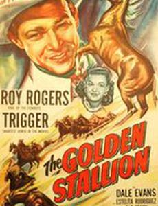 The Golden Stallion