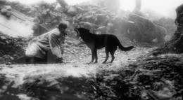 Кадр из фильма "Проклятие" - 1