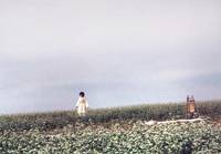 Кадр Добро пожаловать в Донгмакгол