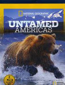 Дикая природа Америки
