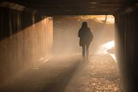 Кадр Глаза панды