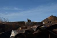 Кадр Раненый ангел