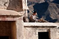 Кадр Раскрашенная кожа 2