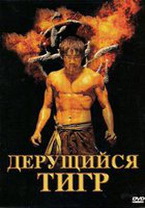 Дерущийся тигр