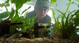 Кадр из фильма "Дурацкая кепка" - 1