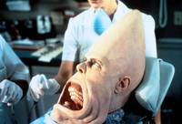 Кадр Яйцеголовые