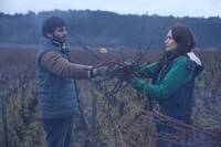 Кадр Возвращение в Бургундию