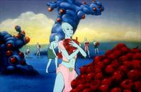 Кадр Гандахар. Световые годы