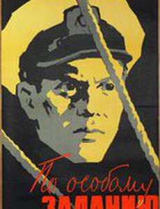 По особому заданию