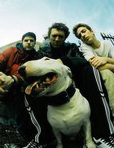 Маленькая бородка