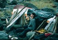 Кадр Далеко от дома: Приключения желтого пса