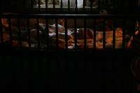 Кадр Сверхъестественное