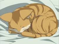 Кадр Кланнад