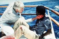 Кадр Огневая мощь