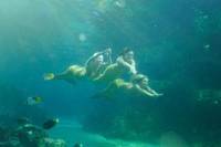 Кадр H2O: Просто добавь воды