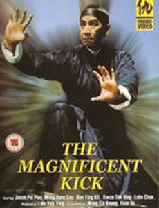 Великолепный удар ногой