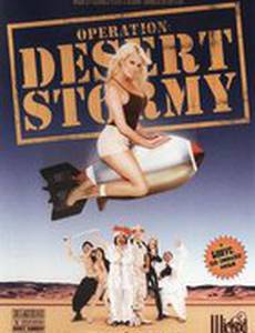 Операция: Сторми в пустыне (видео)