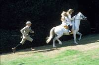 Кадр Черный красавец