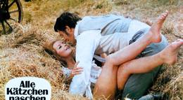 Кадр из фильма "Все кошки любят полакомиться" - 2