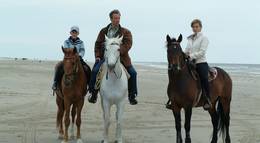 Кадр из фильма "Остров лошадей" - 2