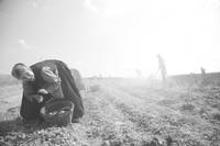 Кадр Другая родина