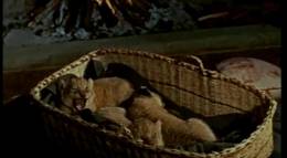 Кадр из фильма "Живущие свободными" - 2