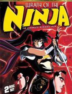 Гнев ниндзя (видео)