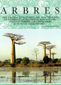 Постер Деревья