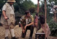 Кадр Эйс Вентура 2: Когда зовет природа