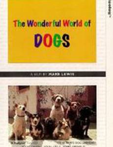 Эти удивительные собаки