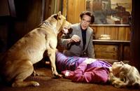 Кадр Потоки любви