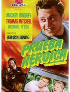 Большое колесо