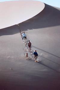 Кадр В плену песков