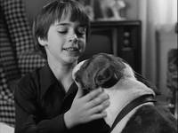 Кадр Франкенвини