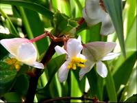 Кадр Игры Богов