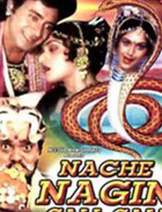 Nache Nagin Gali Gali