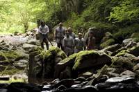 Кадр Мерлин