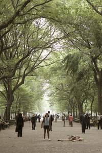 Кадр Явление