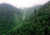 Кадр Спроси свое сердце