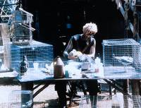 Кадр Редкая порода