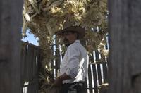 Кадр Торговец сном