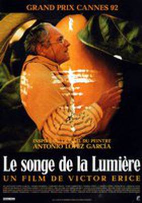 Солнце в листве айвового дерева