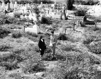 Кадр Лихорадка приходит в Эль-Пао