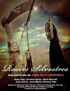 Rosers Silvestres