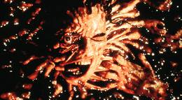 Кадр из фильма "Амитивилль 1992: Вопрос времени (видео)" - 1