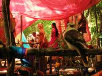 Кадр Слон и принцесса