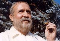 Кадр Арабела возвращается или Румбурак – король страны сказок